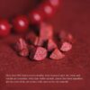 Cinnabar Wealth Bracelet for Protection & Good Luck – Red Feng Shui Prosperity Beads (Unisex)